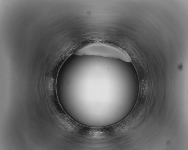 X0000099320650200805091042