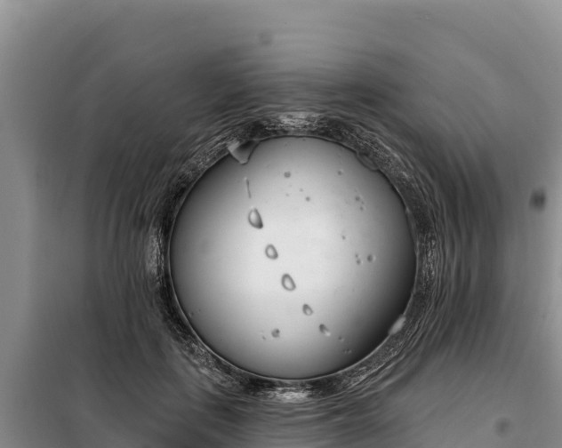 X0000099320651200805091042