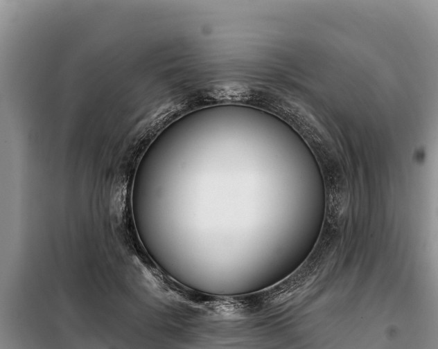 X0000099320652200805091042