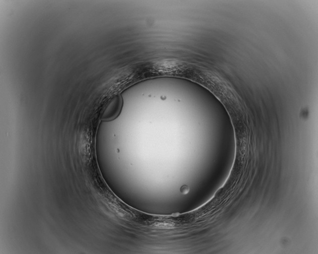 X0000099320653200805091042