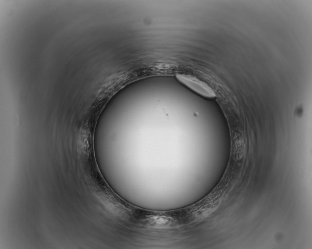 X0000099320654200805091042