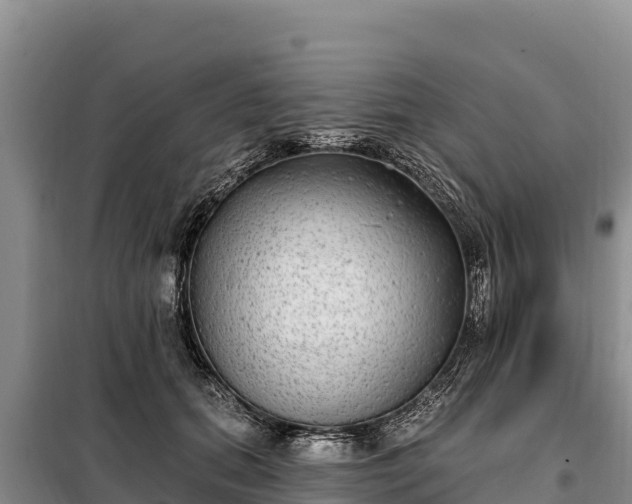 X0000099320655200805091042