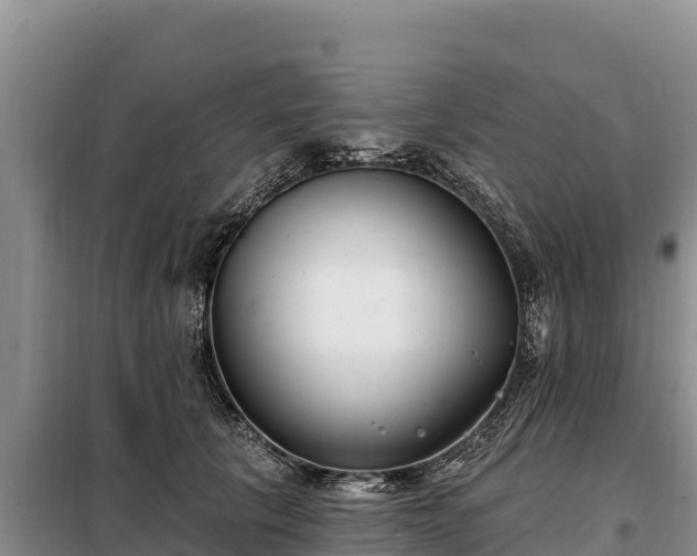 X0000099320657200805091042