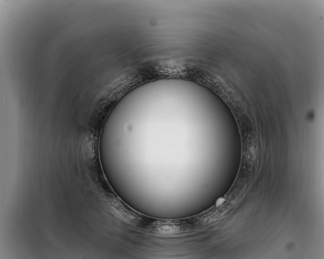 X0000099320658200805091042