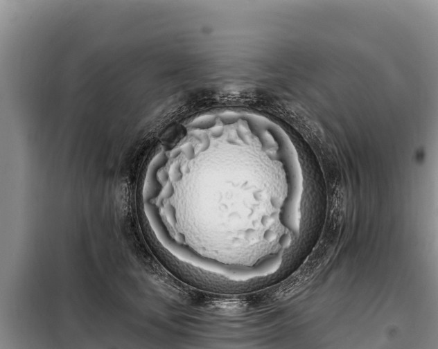 X0000099320659200805091042