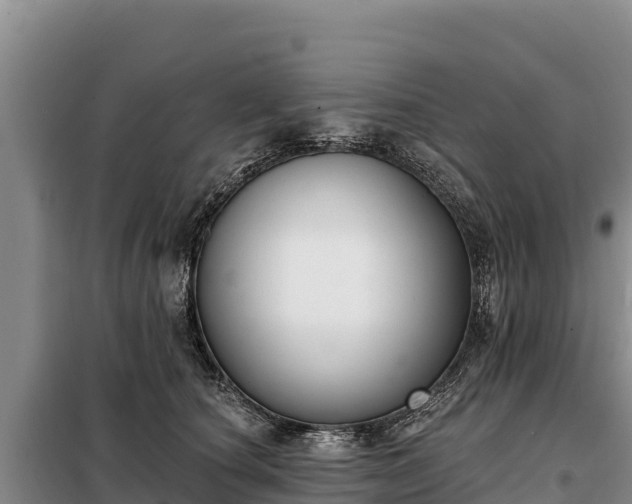 X0000099320660200805091042