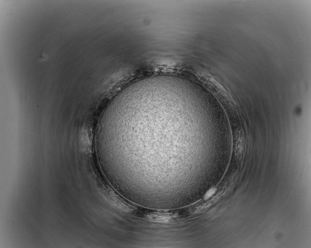 X0000099320661200805091042