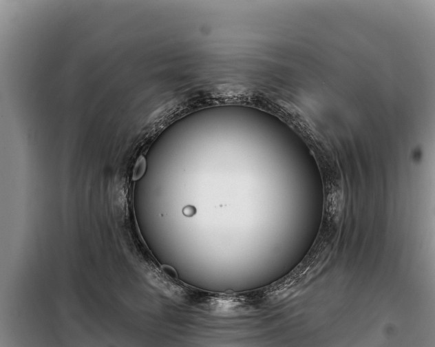 X0000099320662200805091042