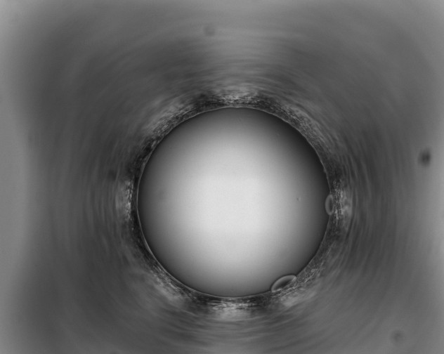 X0000099320664200805091043