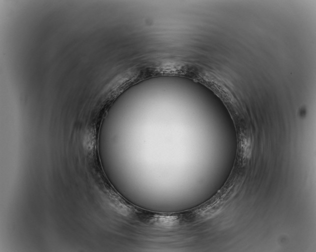 X0000099320665200805091043