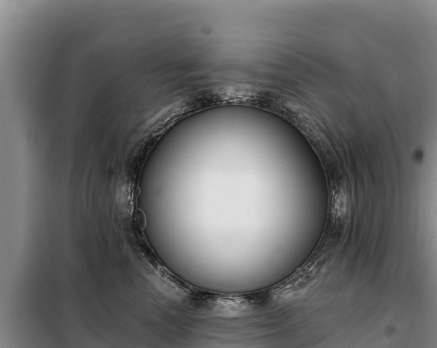 X0000099320666200805091043