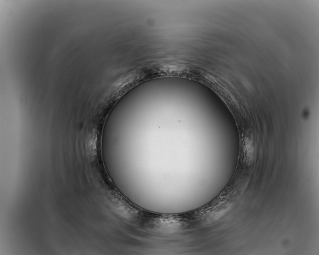 X0000099320668200805091043