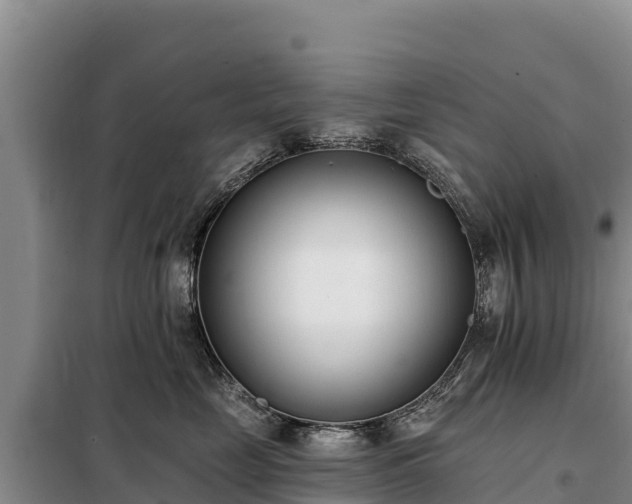 X0000099320669200805091043