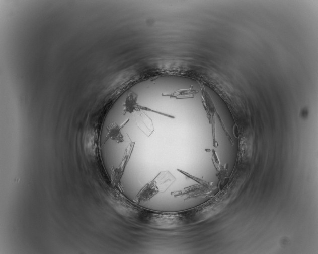X0000099320671200805091043