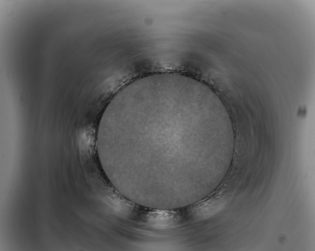 X0000099320672200805091043