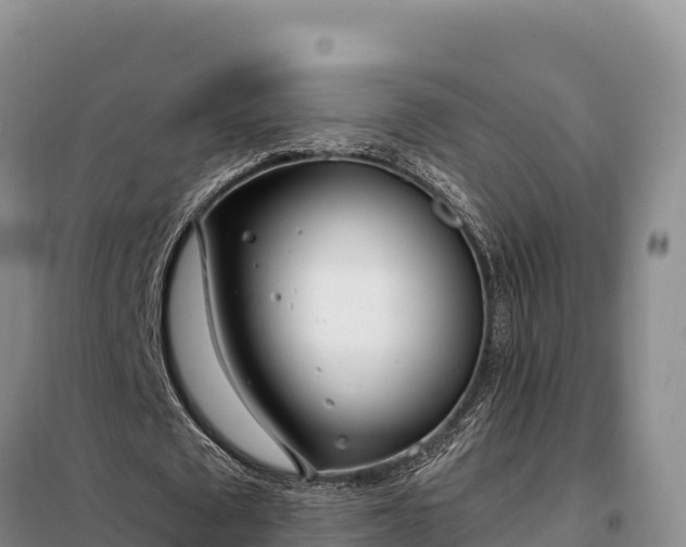 X0000099320673200805091042