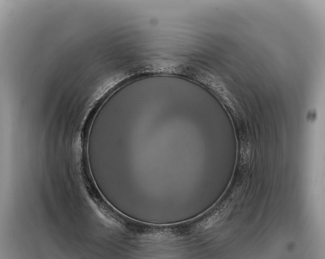 X0000099320674200805091042