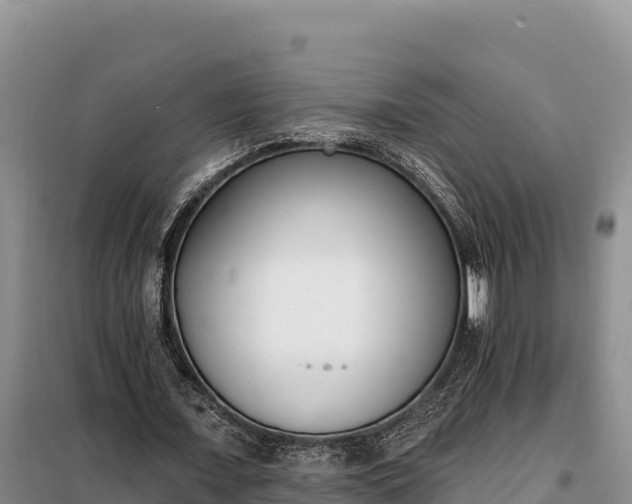 X0000099320675200805091042