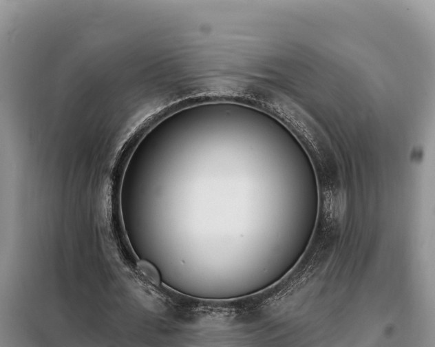 X0000099320676200805091042