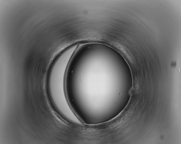 X0000099320677200805091042