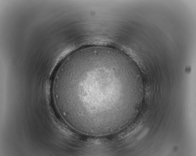 X0000099320679200805091042