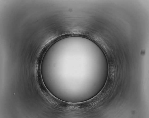 X0000099320680200805091042