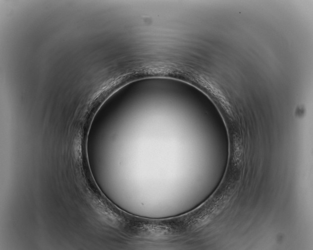 X0000099320681200805091042