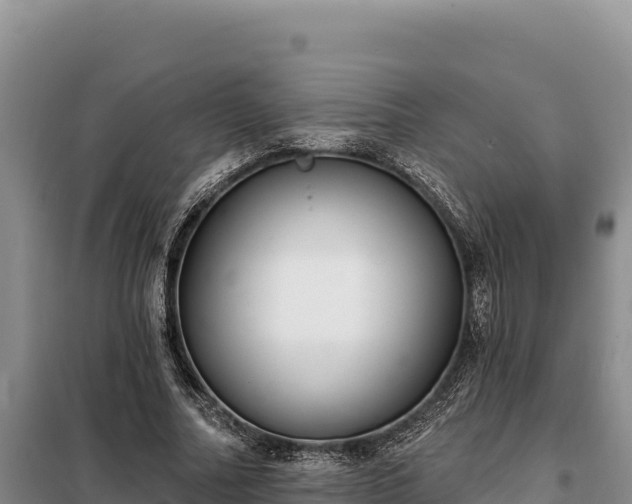 X0000099320682200805091042