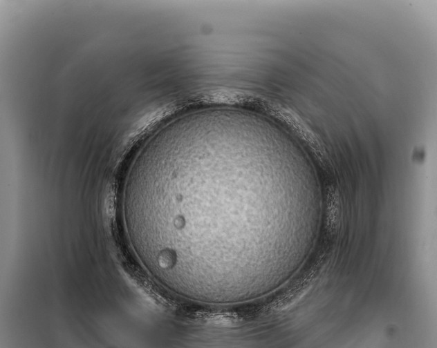 X0000099320683200805091042