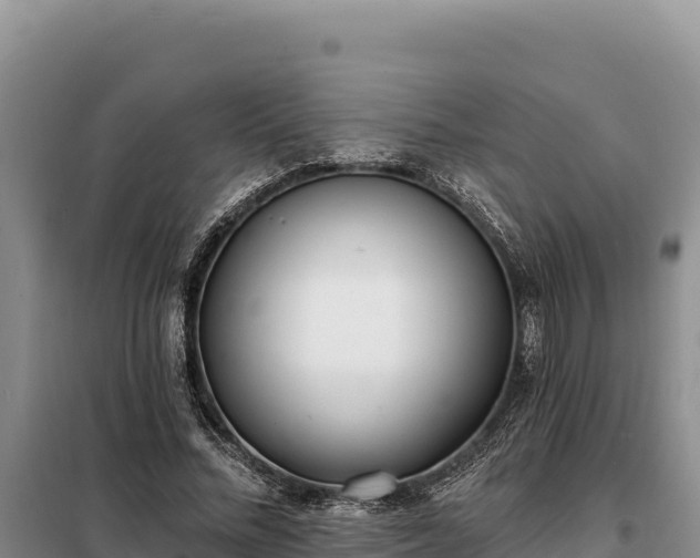 X0000099320684200805091042