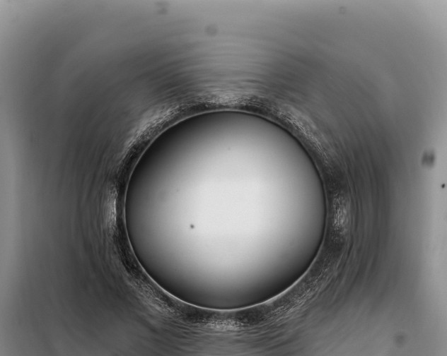 X0000099320685200805091042