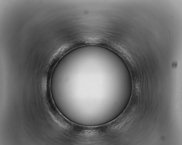 X0000099320686200805091042