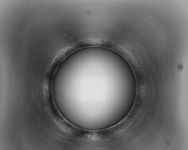 X0000099320688200805091042