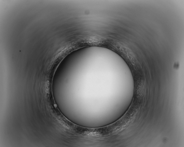 X0000099320689200805091042