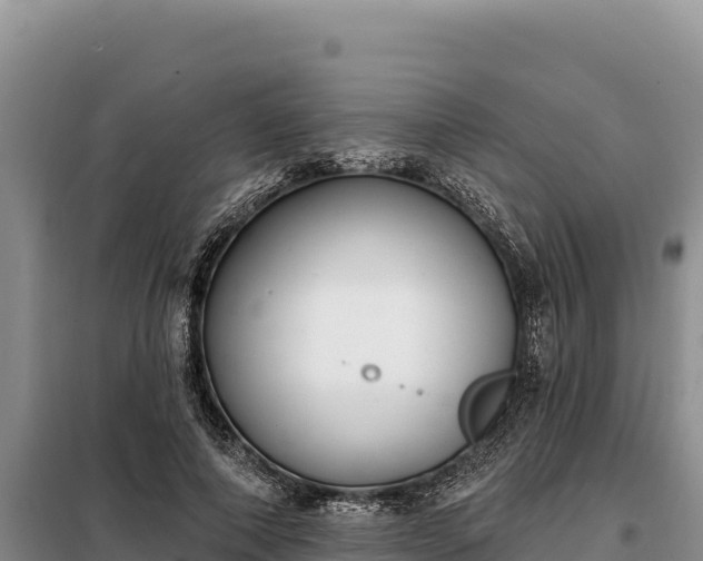 X0000099320690200805091042