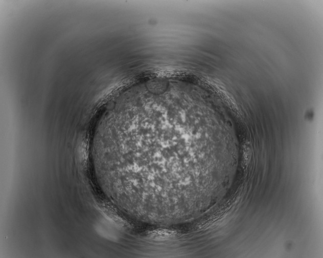 X0000099320691200805091042