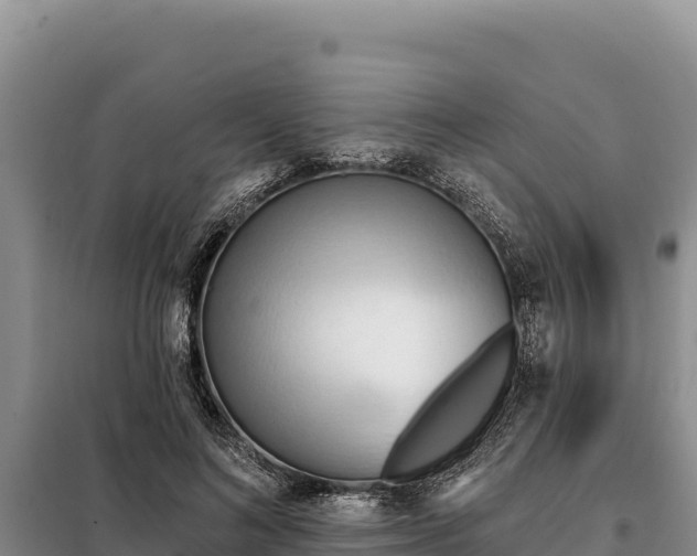 X0000099320692200805091042