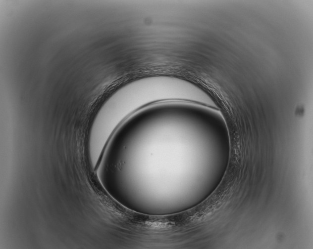 X0000099320693200805091042