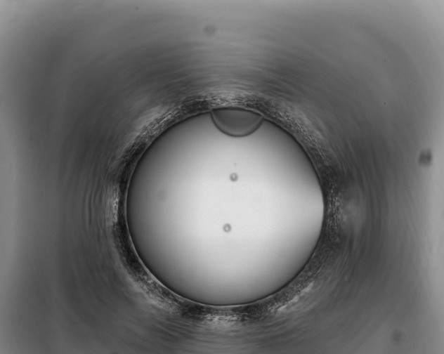 X0000099320694200805091041