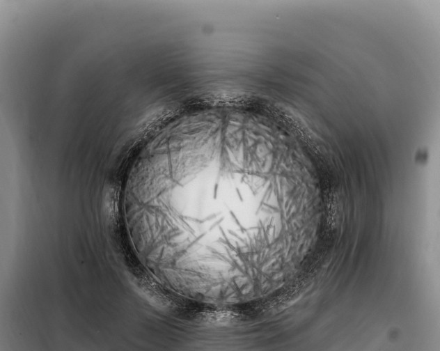 X0000099320695200805091041