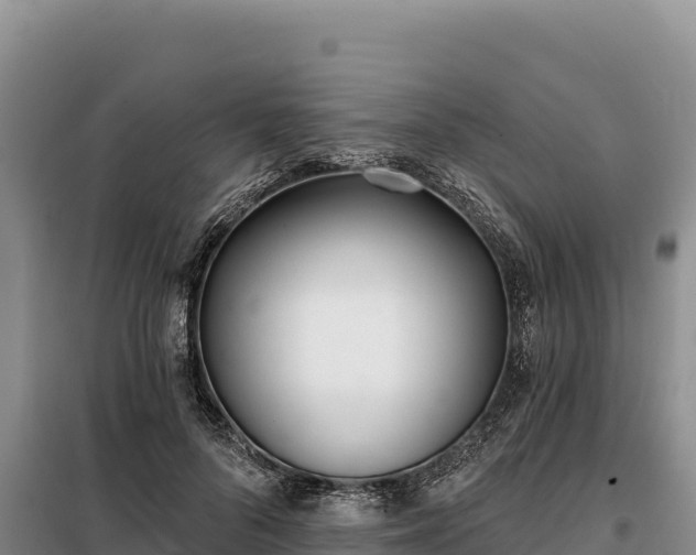 X0000099320696200805091041