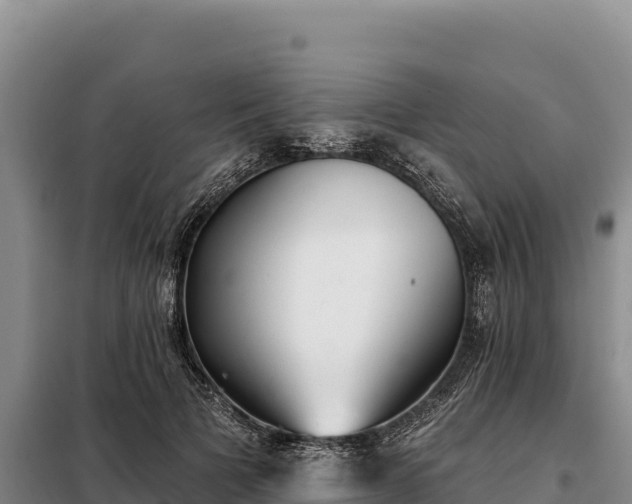 X0000099320697200805091041