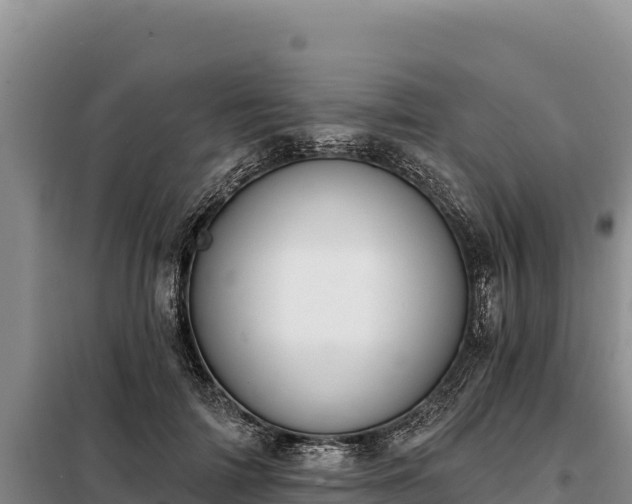 X0000099320698200805091041