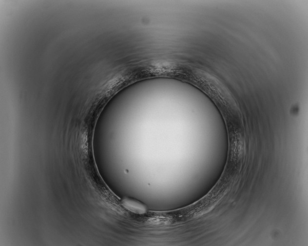 X0000099320700200805091041