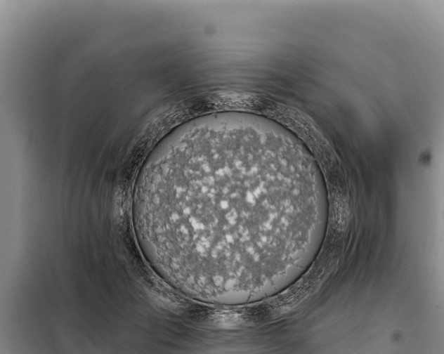 X0000099320701200805091041