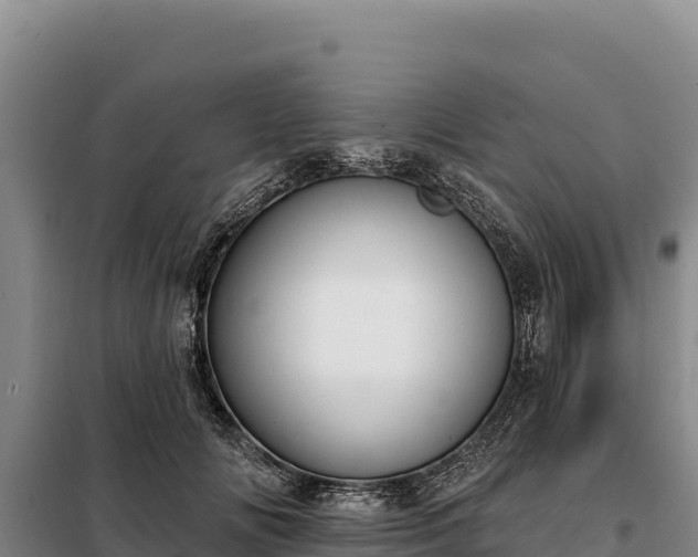 X0000099320702200805091041