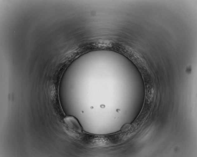 X0000099320704200805091041