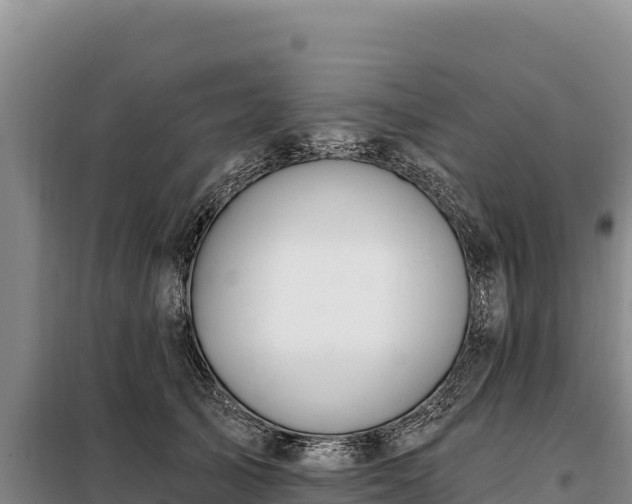 X0000099320705200805091041