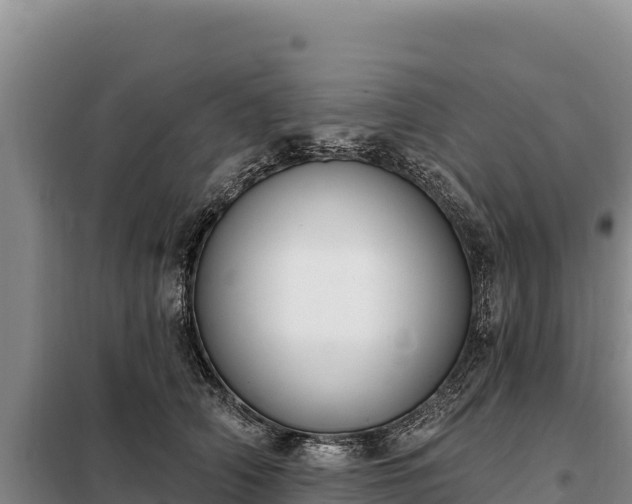 X0000099320706200805091041