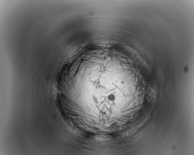 X0000099320707200805091041